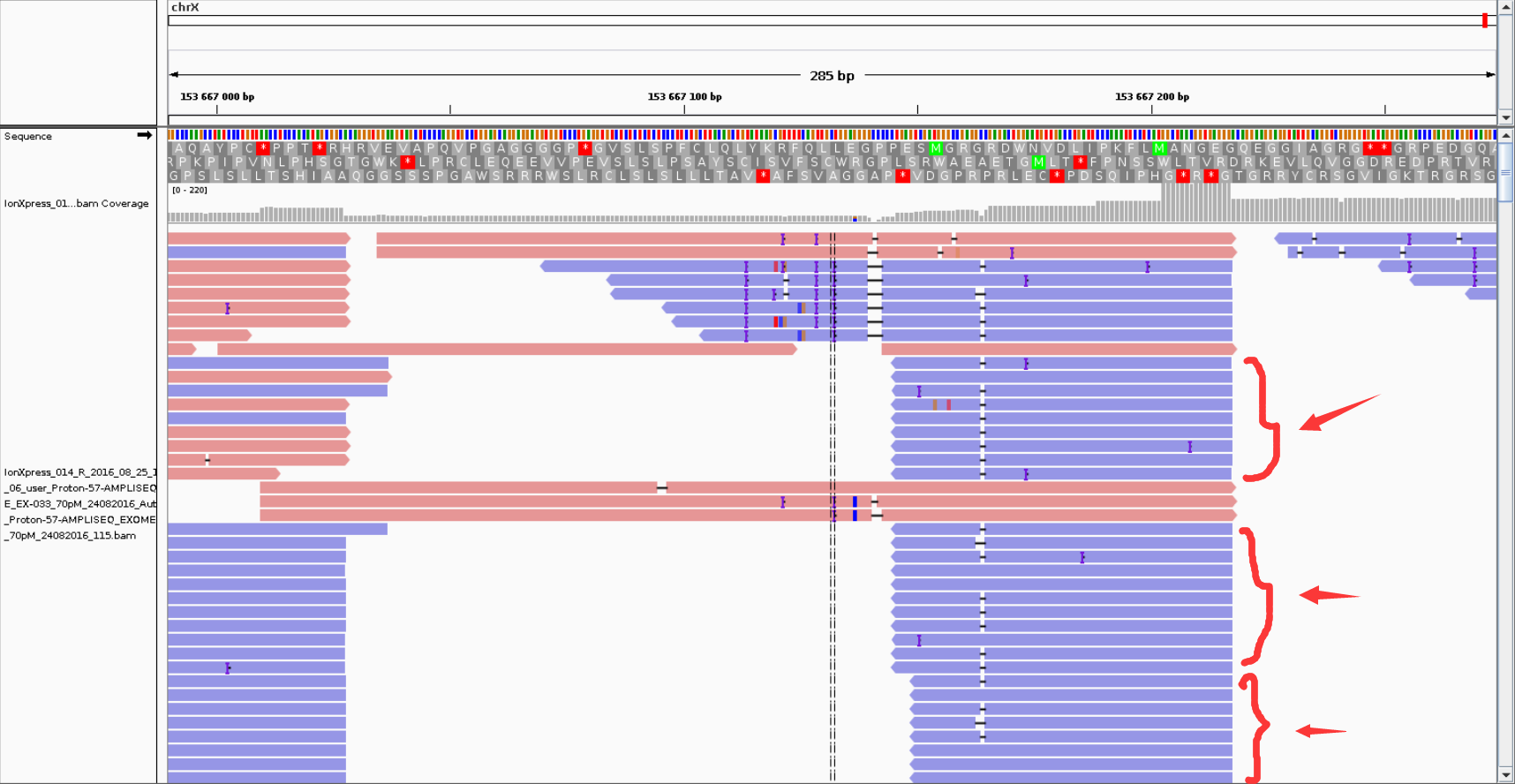 duplicates(from bing)